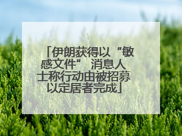 伊朗获得以“敏感文件” 消息人士称行动由被招募以定居者完成