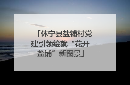 休宁县盐铺村党建引领绘就“花开盐铺”新图景