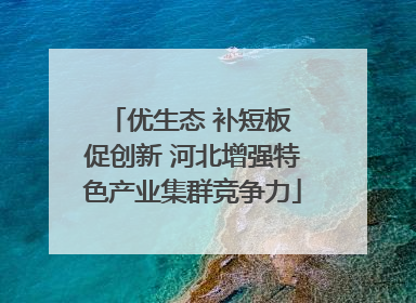 优生态 补短板 促创新 河北增强特色产业集群竞争力