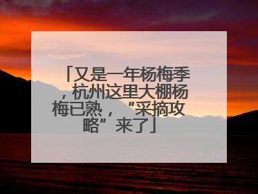 又是一年杨梅季，杭州这里大棚杨梅已熟，“采摘攻略”来了