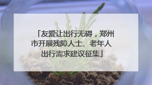 友爱让出行无碍，郑州市开展残障人士、老年人出行需求建议征集