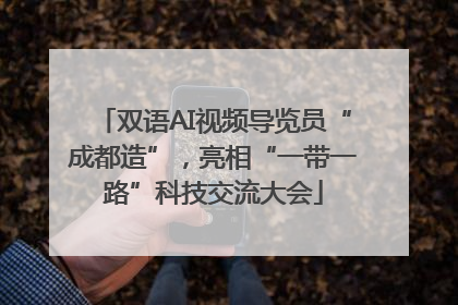 双语AI视频导览员“成都造”，亮相“一带一路”科技交流大会