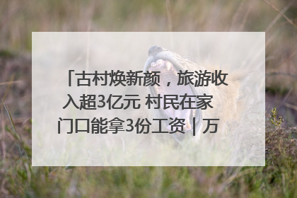 古村焕新颜，旅游收入超3亿元 村民在家门口能拿3份工资｜万千气象看四川