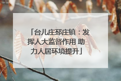 台儿庄邳庄镇：发挥人大监督作用 助力人居环境提升