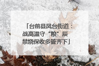 台前县凤台街道：战高温守“粮”辰 禁烧保收多管齐下