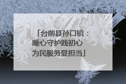 台前县孙口镇：暖心守护践初心 为民服务显担当