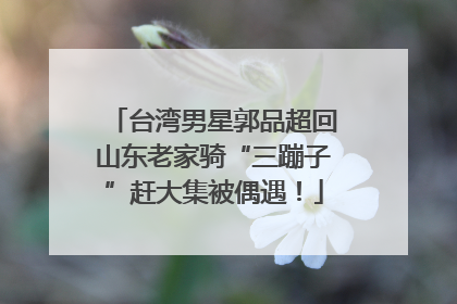 台湾男星郭品超回山东老家骑“三蹦子”赶大集被偶遇！