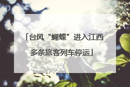 台风“蝴蝶”进入江西 多条旅客列车停运