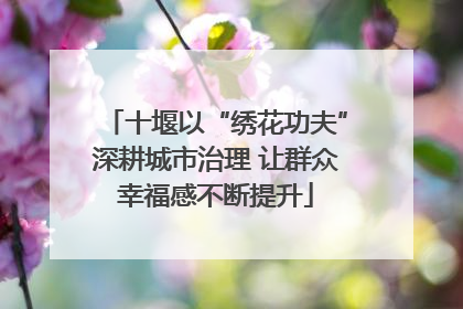 十堰以“绣花功夫”深耕城市治理 让群众幸福感不断提升