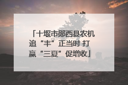 十堰市郧西县农机追“丰”正当时 打赢“三夏”促增收