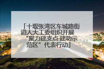十堰张湾区车城路街道人大工委组织开展 “聚力建支点·建功示范区”代表行动