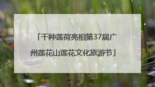 千种莲荷亮相第37届广州莲花山莲花文化旅游节