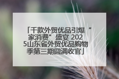 千款外贸优品引爆“家消费”盛宴 2025山东省外贸优品购物季第三期圆满收官