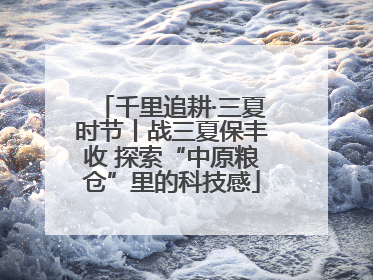 千里追耕·三夏时节丨战三夏保丰收 探索“中原粮仓”里的科技感