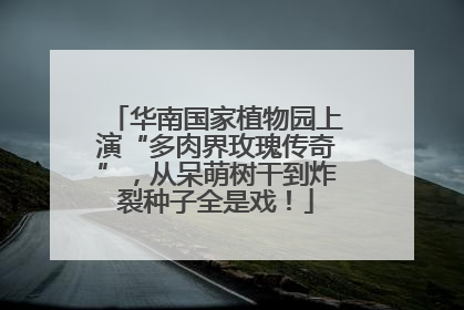 华南国家植物园上演“多肉界玫瑰传奇”，从呆萌树干到炸裂种子全是戏！