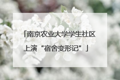 南京农业大学学生社区上演“宿舍变形记”