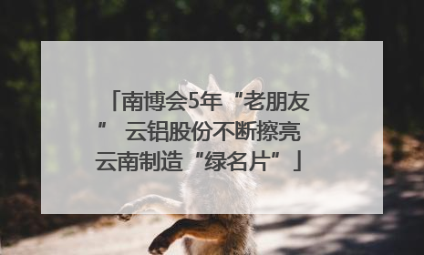 南博会5年“老朋友” 云铝股份不断擦亮云南制造“绿名片”