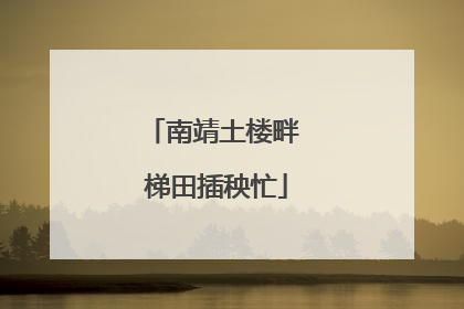 南靖土楼畔 梯田插秧忙