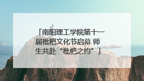 南阳理工学院第十一届枇杷文化节启幕 师生共赴“枇杷之约”