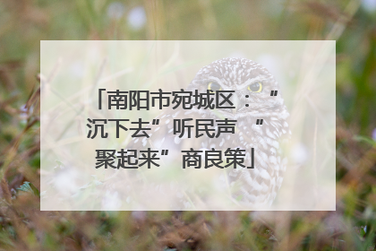 南阳市宛城区：“沉下去”听民声 “聚起来”商良策