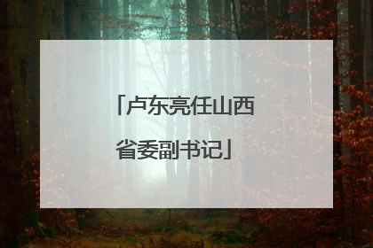 卢东亮任山西省委副书记