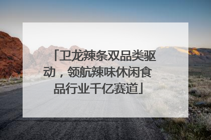 卫龙辣条双品类驱动，领航辣味休闲食品行业千亿赛道