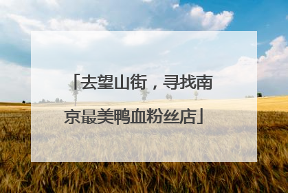 去望山街，寻找南京最美鸭血粉丝店