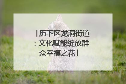 历下区龙洞街道：文化赋能绽放群众幸福之花