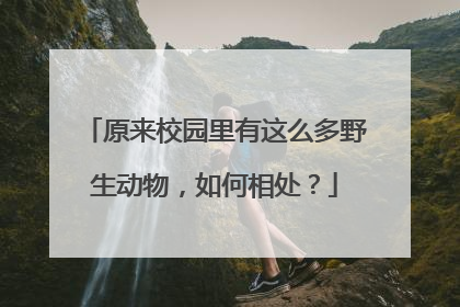 原来校园里有这么多野生动物，如何相处？
