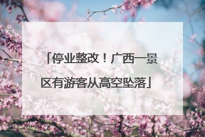 停业整改！广西一景区有游客从高空坠落