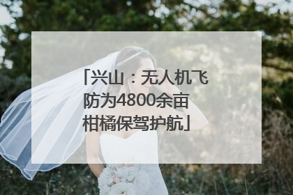 兴山：无人机飞防为4800余亩柑橘保驾护航