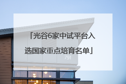 光谷6家中试平台入选国家重点培育名单