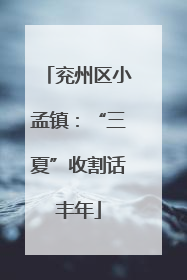 兖州区小孟镇：“三夏”收割话丰年