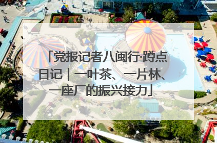 党报记者八闽行·蹲点日记｜一叶茶、一片林、一座厂的振兴接力