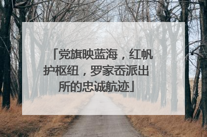 党旗映蓝海，红帆护枢纽，罗家岙派出所的忠诚航迹