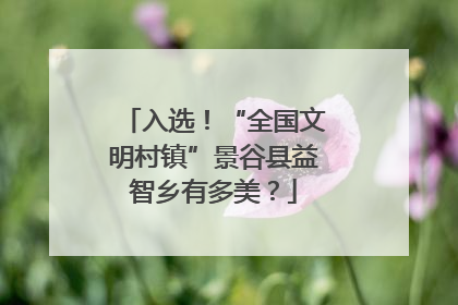 入选！“全国文明村镇”景谷县益智乡有多美？