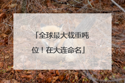全球最大载重吨位！在大连命名