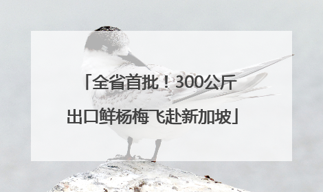 全省首批！300公斤出口鲜杨梅飞赴新加坡