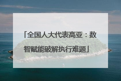 全国人大代表高亚：数智赋能破解执行难题