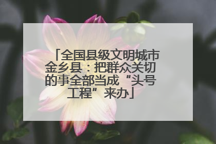 全国县级文明城市金乡县：把群众关切的事全部当成“头号工程”来办