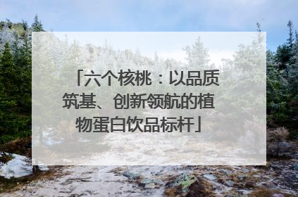 六个核桃：以品质筑基、创新领航的植物蛋白饮品标杆