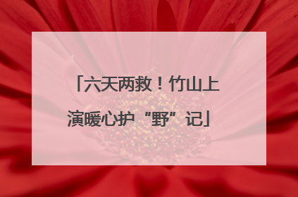 六天两救！竹山上演暖心护“野”记
