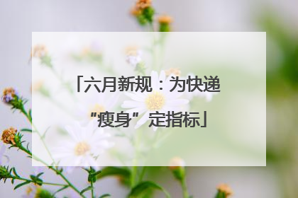六月新规：为快递“瘦身”定指标