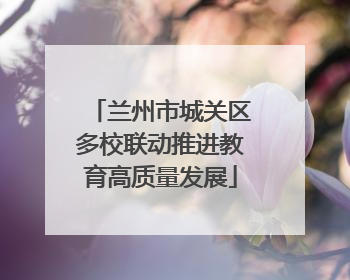 兰州市城关区多校联动推进教育高质量发展