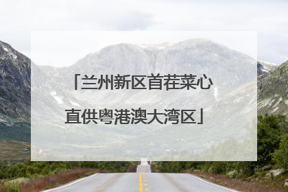 兰州新区首茬菜心直供粤港澳大湾区