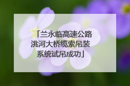 兰永临高速公路洮河大桥缆索吊装系统试吊成功
