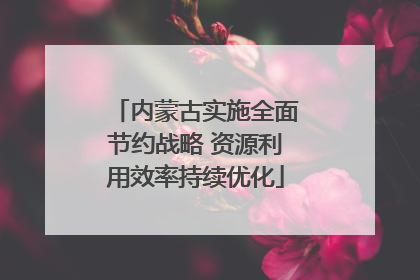 内蒙古实施全面节约战略 资源利用效率持续优化
