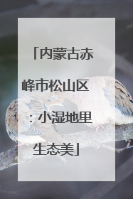 内蒙古赤峰市松山区：小湿地里生态美