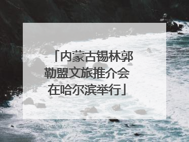 内蒙古锡林郭勒盟文旅推介会在哈尔滨举行