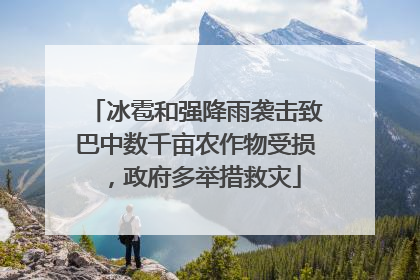 冰雹和强降雨袭击致巴中数千亩农作物受损，政府多举措救灾